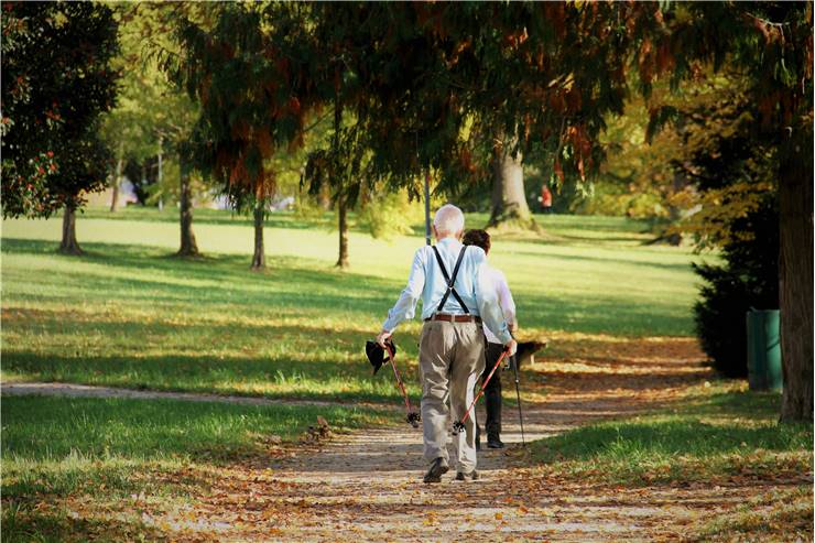 Seniors And Health